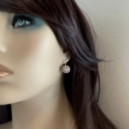 Diamante Luxe Leverback Earrings